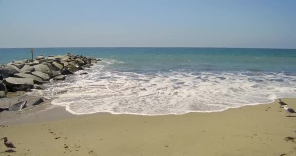 Fale Rozbijające Się Molo Słoneczny Letni Dzień Santa Monica — Wideo stockowe