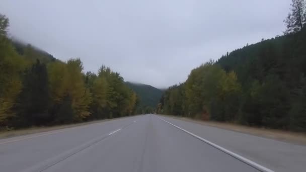 Early Morning Fall Drive Mountains Western Montana — Stock Video