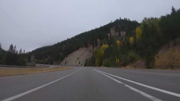 Early Morning Fall Drive Mountains Western Montana — Stock Video