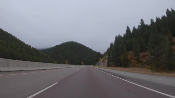 Early Morning Fall Drive Mountains Western Montana — Stock Video