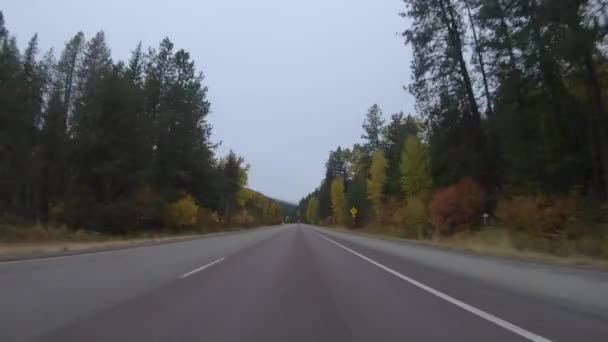 Early Morning Fall Drive Mountains Western Montana — Stock Video