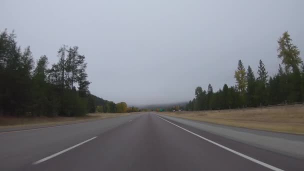 Tôt Matin Route Automne Travers Les Montagnes Dans Ouest Montana — Video