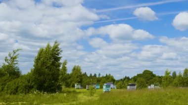 Bal Arı kovanlarını mavi gökyüzü arka plan bahar ormandaki video çekim