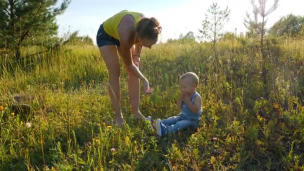 Mãe Filho Idade Ano Coletar Comer Morangos Selvagens Floresta — Vídeo de Stock