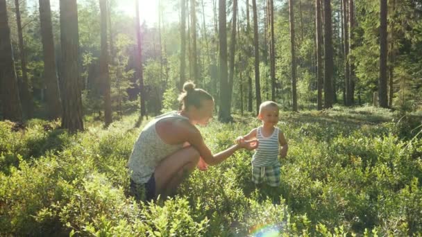 Mère Son Fils Âge Récoltent Mangent Des Bleuets Sauvages Dans — Video