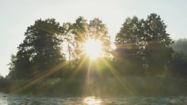 Rayons de soleil à travers les branches des arbres sur le lac tôt le matin d'été