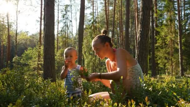 Mãe Filho Idade Ano Coletar Comer Mirtilos Selvagens Floresta Verão — Vídeo de Stock