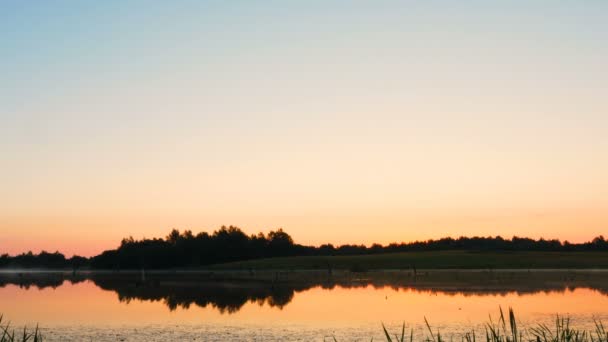 Tournage Matin Brumeux Lever Soleil Sur Marais — Video