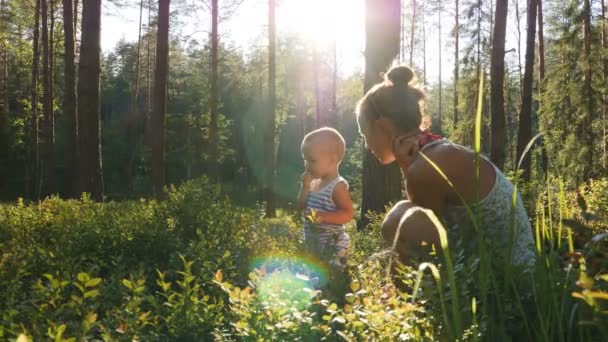 Mother Son Age One Year Collect Eat Wild Blueberries Summer — Stock Video