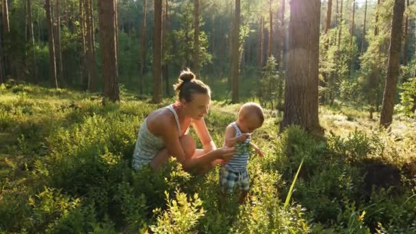 Mother Son Age One Year Collect Eat Wild Blueberries Summer — Stock Video