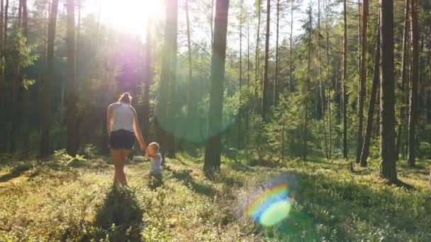 歳の息子を収集し 夏の森で野生のブルーベリーを食べる — ストック動画