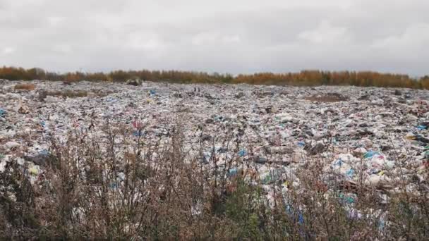 Φορητό Πυροβολισμό Πόλη Σκουπίδια Χωματερή Περιβαλλοντική Ρύπανση Λόγω Έλλειψης Ανακύκλωσης — Αρχείο Βίντεο