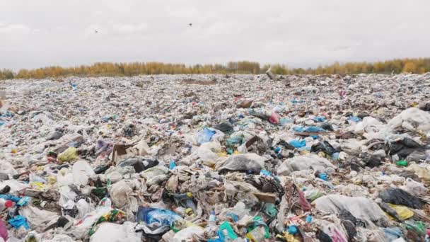 Φορητό Πυροβολισμό Πόλη Σκουπίδια Χωματερή Περιβαλλοντική Ρύπανση Λόγω Έλλειψης Ανακύκλωσης — Αρχείο Βίντεο