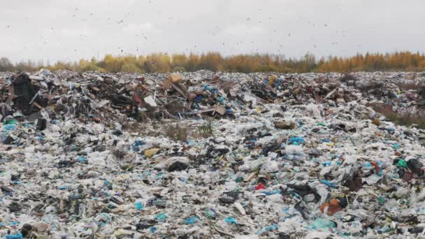 Strzał Handheld Śmieci Miasta Zrzutu Zanieczyszczenie Środowiska Względu Brak Technologii — Wideo stockowe