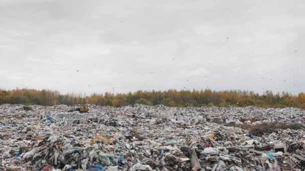都市こみのハンドヘルド ショット ダンプ 環境汚染によるリサイクル技術の不足のために — ストック動画