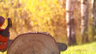 Elektrikli testerenin yavaş çekimleri odunları işlemek için ağaçları kesiyor.