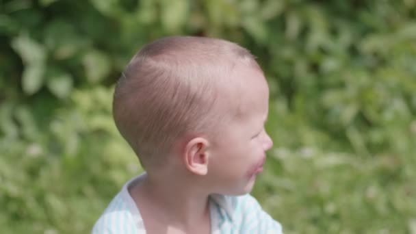 Retrato Criança Menino Comendo Mirtilos Fundo Verão Verde — Vídeo de Stock