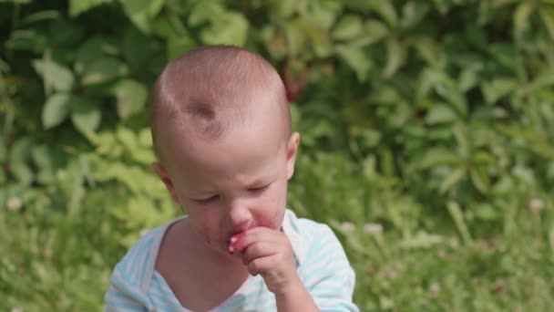 Portrait Shot Child Boy Eating Blueberries Green Summer Background — Stock Video