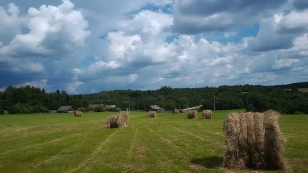 Časová Prodleva Natáčení Balíků Sena Venkovském Poli Pozadí Statku Lesa — Stock video