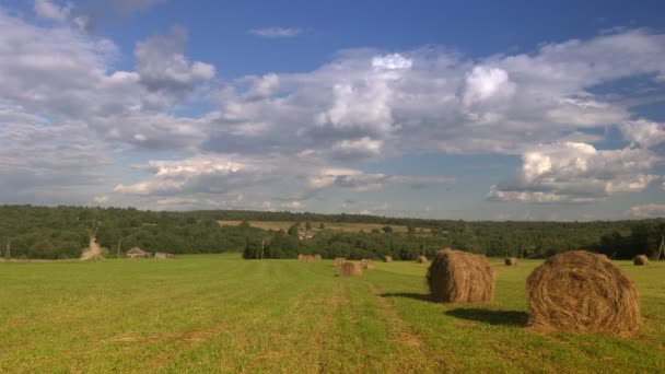 農家や森林を背景に田んぼのタイムラプス撮影 — ストック動画