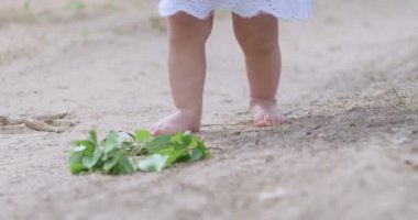Ormandaki kumlu yolda ilk adımlar. Bir yaşındaki küçük kız annesi ve büyükannesiyle ormanda yürüyor.