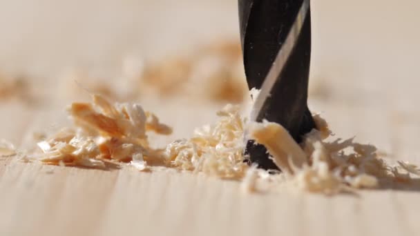 Slow Motion Shoot Wood Drilling — Stock Video