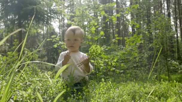 1歳の女の子夏の森の中で野生のブルーベリーを収集し 食べる — ストック動画