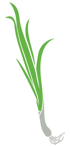 Green Onion Vector Icon — Stock Vector