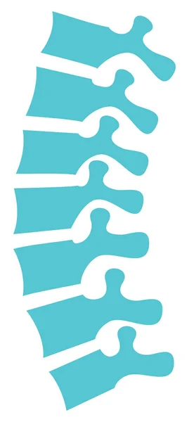 Human Spine Vector Illustration — Stock Vector