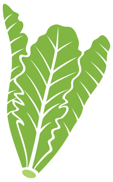 Icono Vector Lechuga Verde — Vector de stock