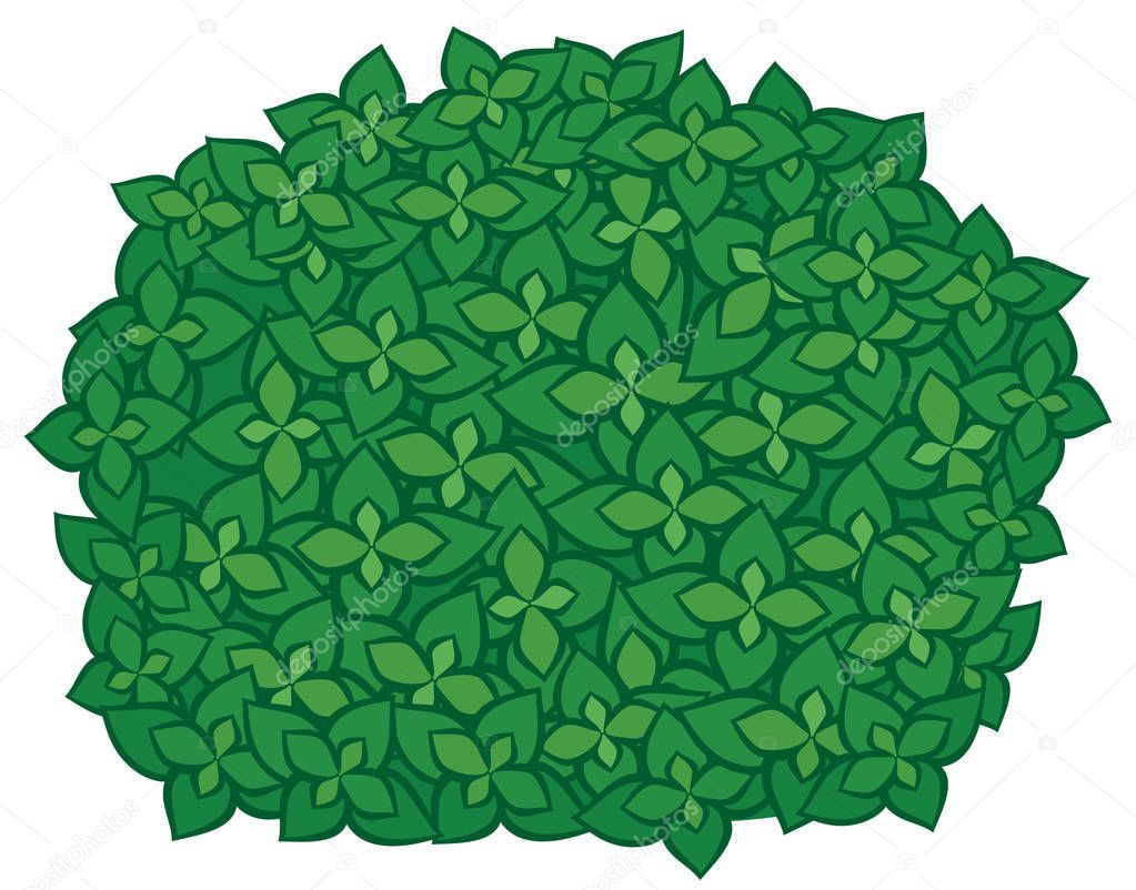 green bush vector illustration