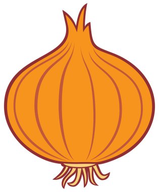 soğan vektör simgesi (bitkisel)