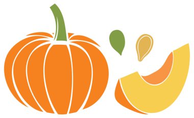 kabak dilim ve tohum vektör çizim ile 