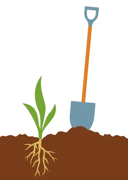 Shovel Ground Plant Vector Illustration — Stock Vector