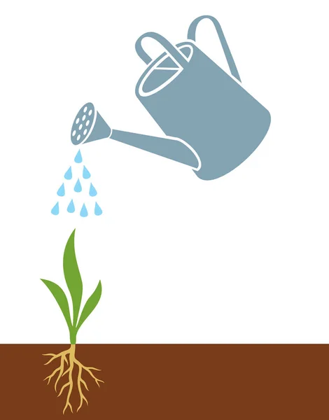 Watering Can Plant — Stock Vector