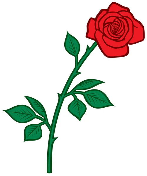 Vektorillustration Der Roten Rose — Stockvektor