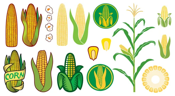 Corn Vector Icons Set Grain Seed Stalk Popcorn Corncob — Stock Vector