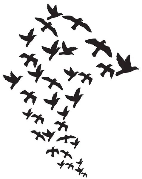 Zwerm Vogels Vliegen — Stockvector
