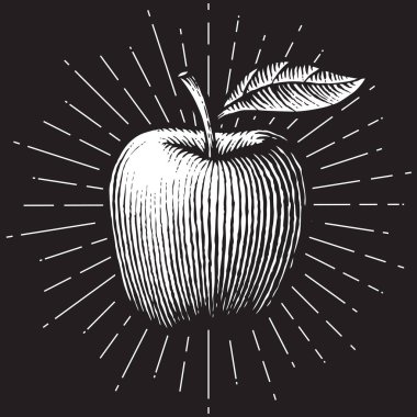Apple - vintage vektör çizim (elle çizilmiş tarzı kazınmış.)