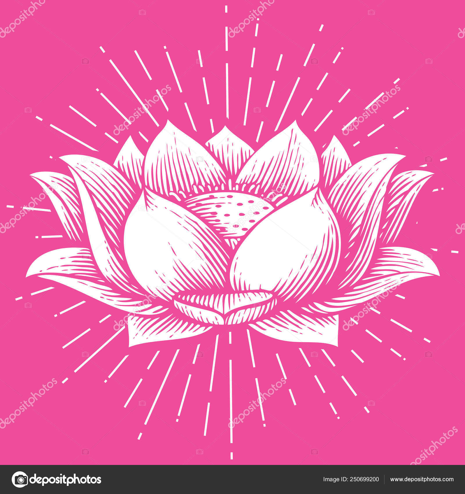 Lotus Flower Vintage Engraved Vector Illustration Hand Drawn Style
