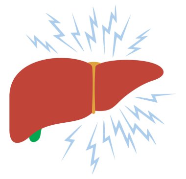 karaciğer vektör çizim ile sorun