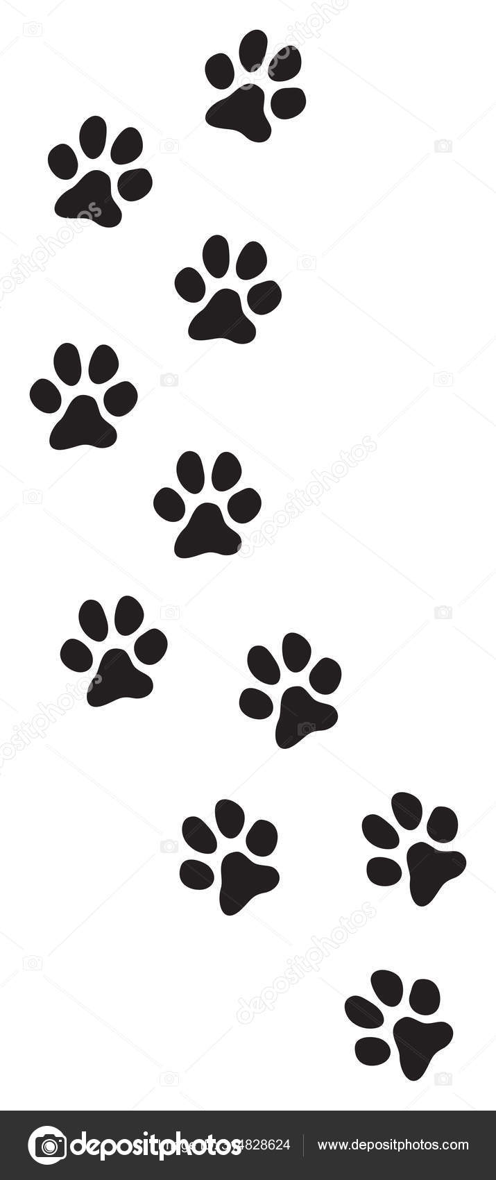 brydning komme Afgørelse Dog Paw Prints Track Vector Illustration Stock Vector Image by  ©Tribaliumivanka #314828624