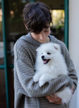 Beyaz Japon köpek yavrusu evde.