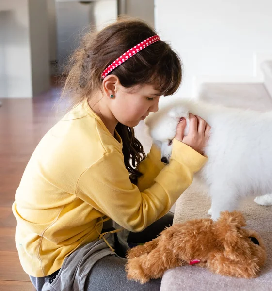 Blanco Japonés Spitz Cachorro Casa —  Fotos de Stock