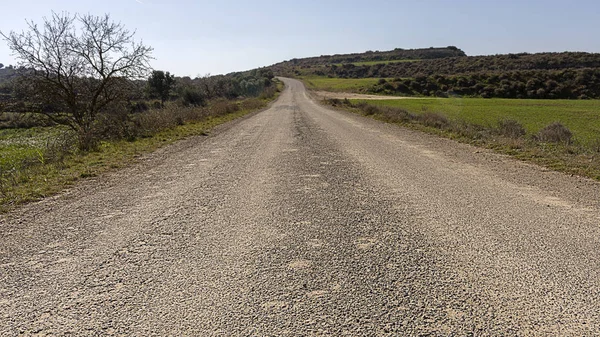 Weg naar het toekomstige concept. Oude verharde weg die leidt naar de horizon. Weg gooien landschap. — Stockfoto