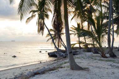 Paradise Islands in Guna Yala, Kuna Yala, San Blas, Panama. Sunset. Sunrise. clipart