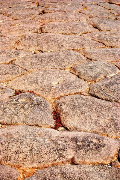 patterned stone pavement. Texture.