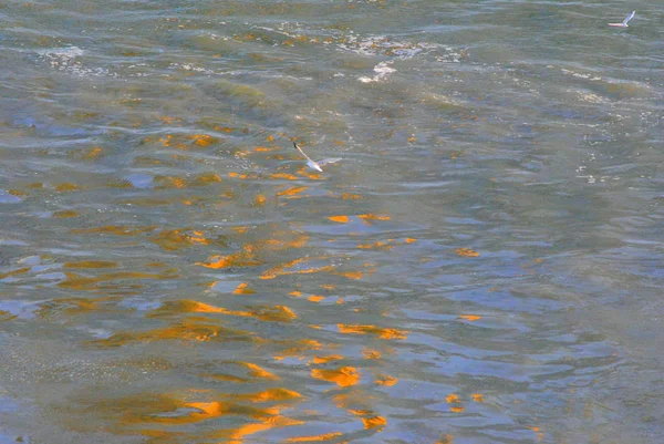 Su etkileri ve köpük. güneş ışığı deniz suyuna yansır. — Stok fotoğraf