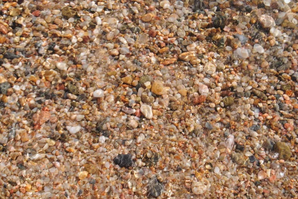 Gelombang dan air transparan di pasir di pantai. Tekstur. Busa air. Hari yang cerah — Stok Foto