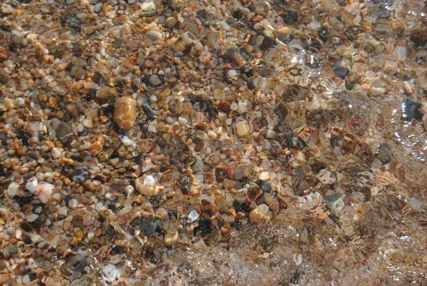Vågor och transparent vatten på sanden på stranden. Textur. vatten skum. Solig dag — Stockfoto